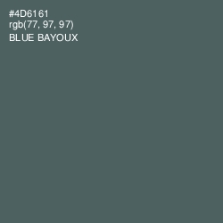 #4D6161 - Blue Bayoux Color Image